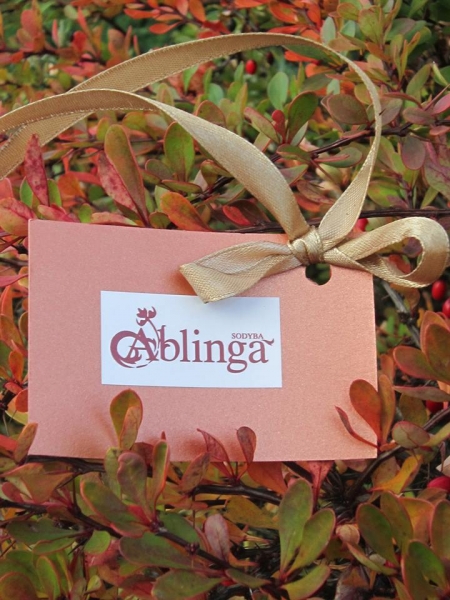 Sodyba "Ablinga" Jūsų šventei