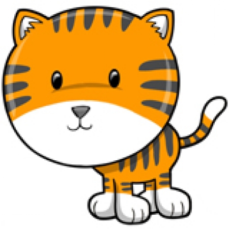 Prabangios fotoknygos- Tigra
