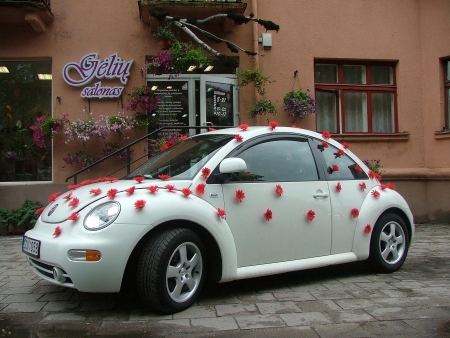 Gėlių salonas Klaipėdoje.Internetine parduotuve,geliu pristatymas