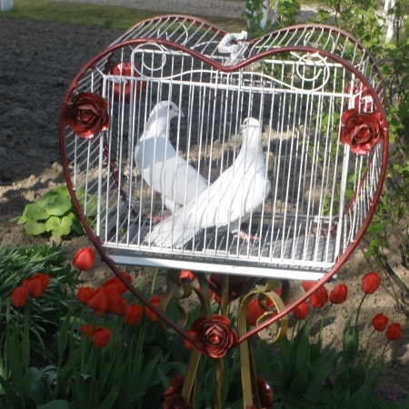 Siūlau balandžius įvairioms progoms ( vestuvėms,krikštynoms)

